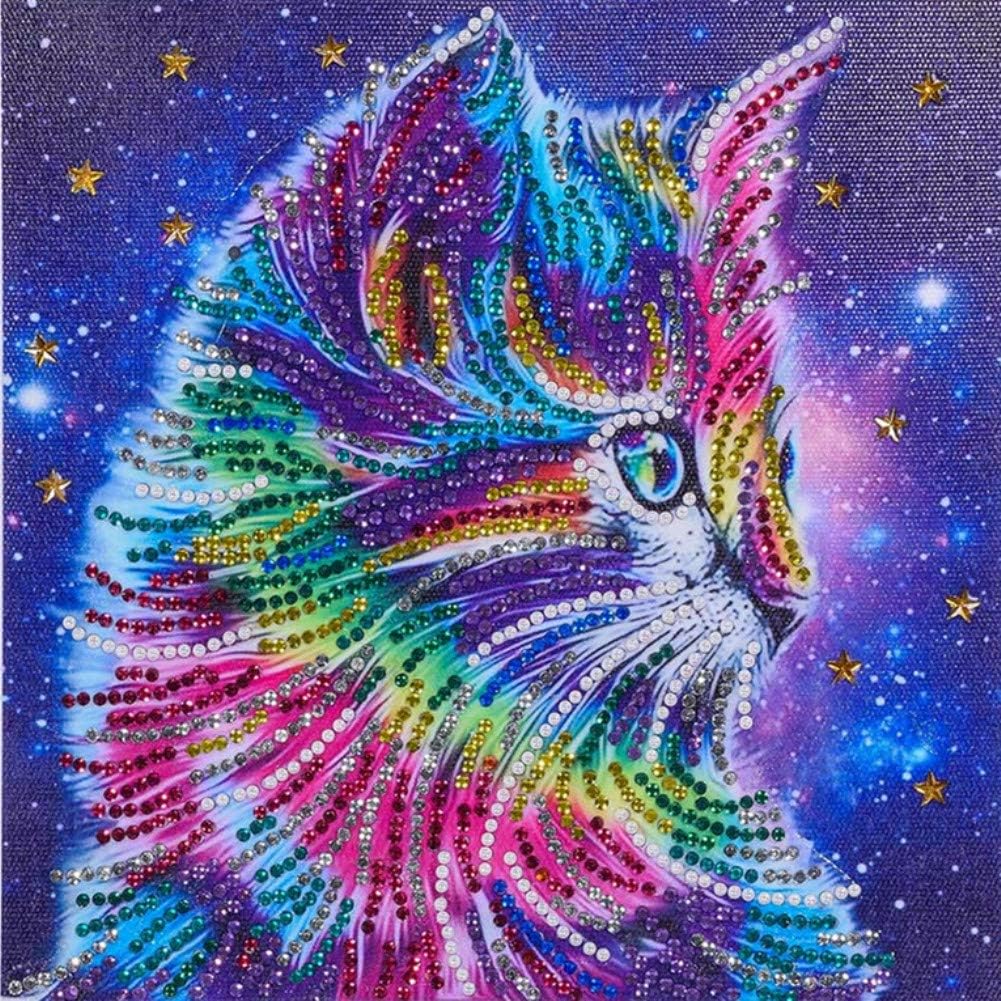 Diamond Painting DIY 5D Special Shape Rhinestones, ABEUTY Colored Cat